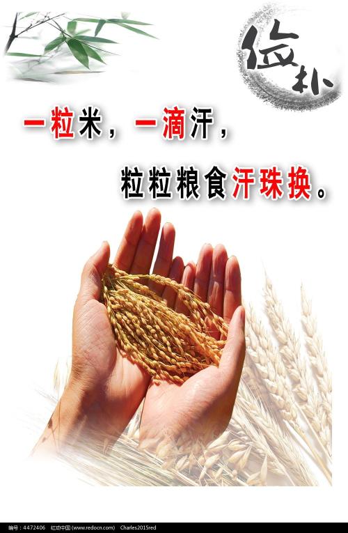 维波瓦伦蒂亚音乐学院市场开发文凭证书